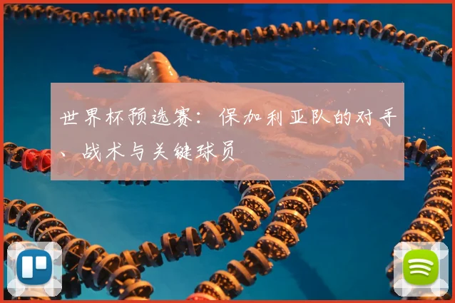 世界杯预选赛：保加利亚队的对手、战术与关键球员