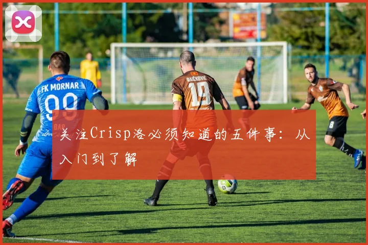 关注Crisp洛必须知道的五件事：从入门到了解